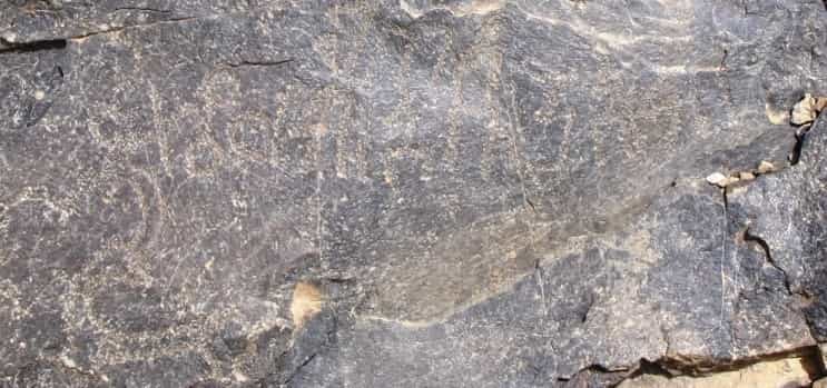 الشرعي الحمة 7